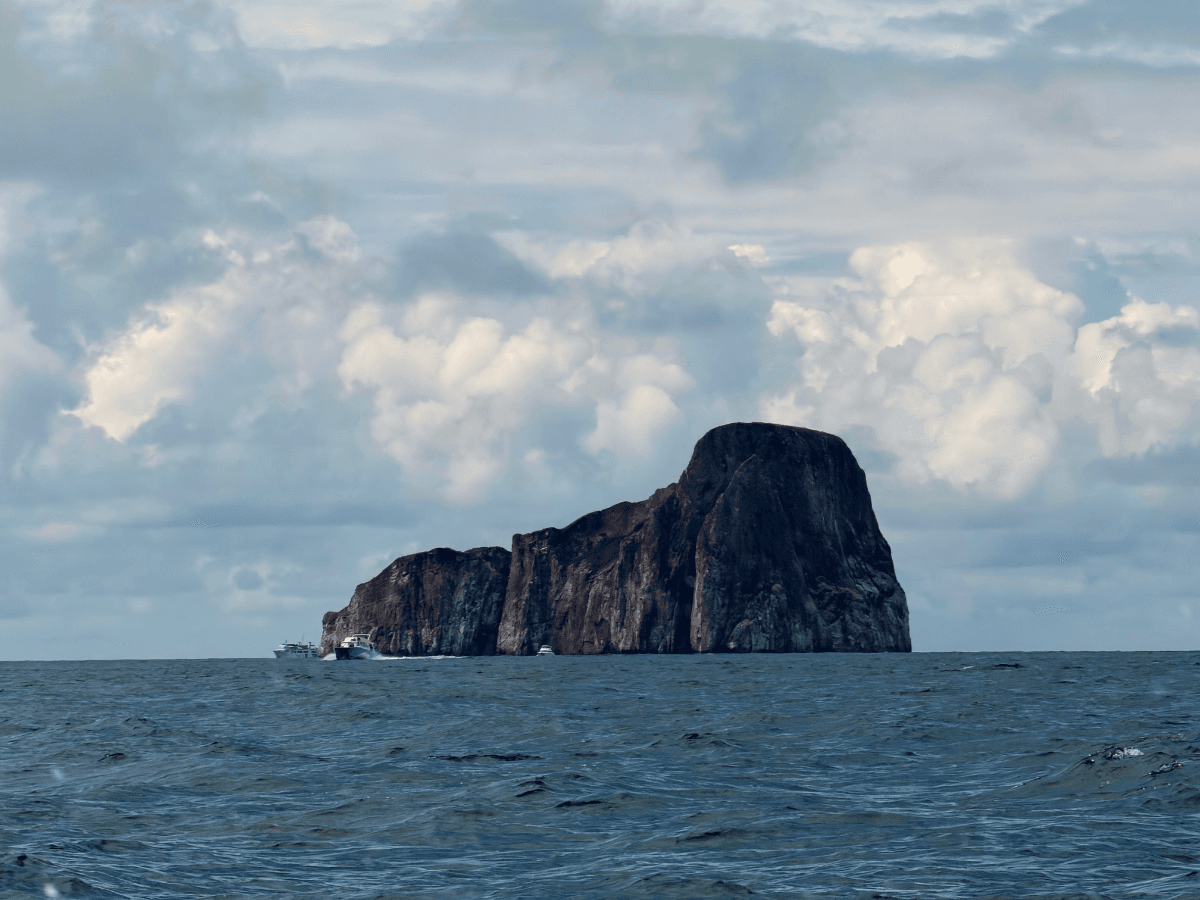 The Honest Guide to Diving in Galápagos: What it’s Really Like